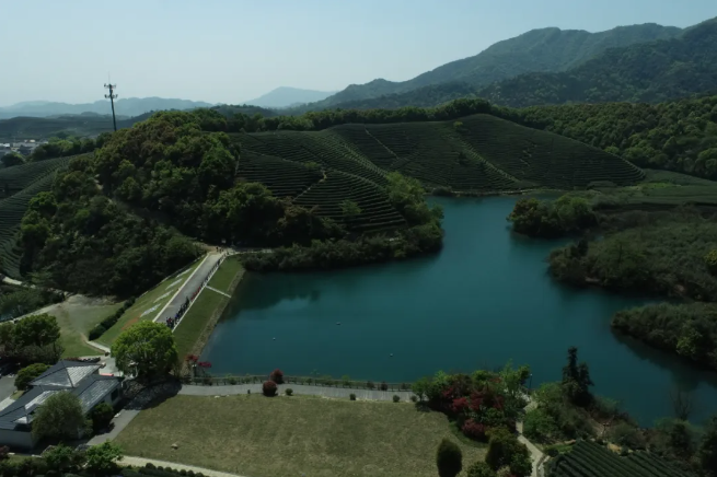 建設(shè)智慧生態(tài)茶園，托普云農(nóng)為西湖龍井茶“保駕護(hù)航”