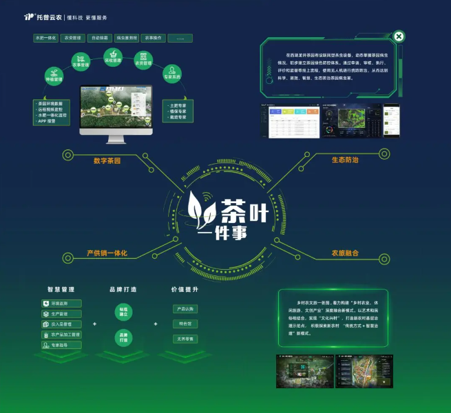“數(shù)字”賦能茶產(chǎn)業(yè)，“茶葉一件事”續(xù)寫(xiě)中國(guó)茶發(fā)展新模式