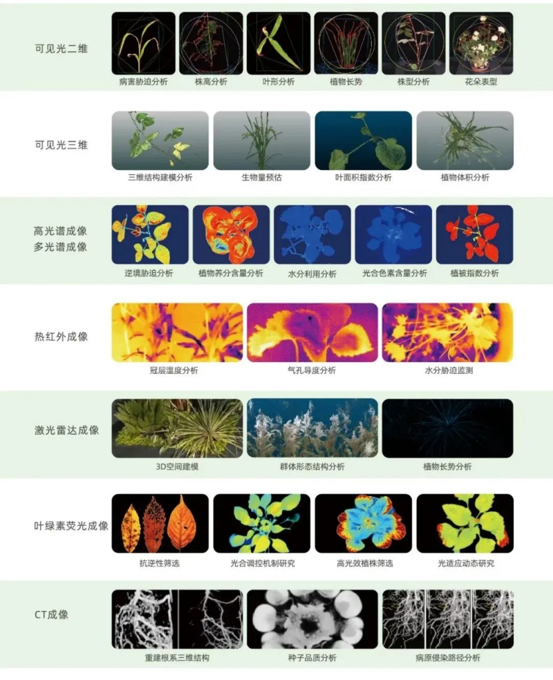 圖片3_副本.png
